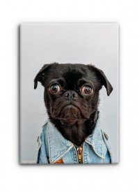 Pugs hot sale 4 hugs